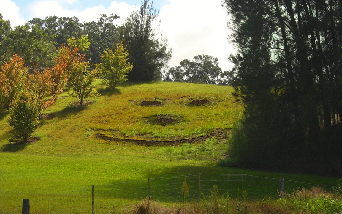 Smiley Face Hill Hwy 19