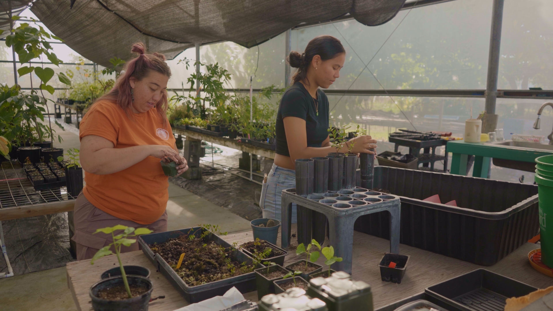 Second year TEAM students Alison Lofton (left) and Tiala Kailianu-Carvalho transplant native Hawaiian plants for out-planting in restoration projects. TEAM classes prepare students to propagate tropical plants and restore native forests.