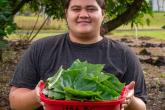 Olena Hovey collects kukui leaves from the Hawai‘i CC farm to make into fermented plant juice.